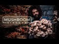 Cultivating Gourmet and Medicinal Mushrooms | PARAGRAPHIC