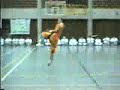 Shaolin Ditang Quan - Zhang Li Peng Shaolin Ditang Quan - Zhang Li Peng