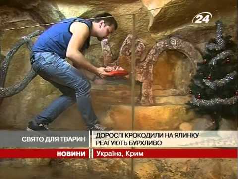 Смотреть видео