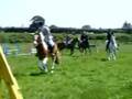 badrc June 2008 1