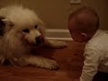 Baby Lucy laughing with dog