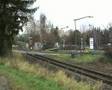 Vorsignal in Aktion in Alfter Oedekoven