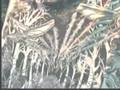 3of5 Plan Columbia - Corporate Plunder