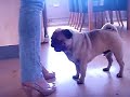 Sixten and the high heels Sixten and the high heels