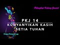 PKJ 14