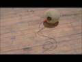 videos de Jamie Dillon's melon at Copy Gallery