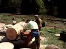 PNW GTG - IronBark \"log rolling\"