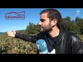 Vendimia en la sierra de Salamanca