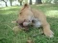 so cute! so cute!