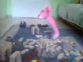 break dance pantery break dance pantery