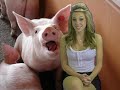 Random Stuff 1, Interesting Facts, Hot Babe Emily