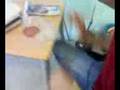 cazzate-in-classe-to