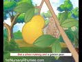 Nursery Rhymes Video - I'm A Little Nut Tree Nursery Rhymes Video - I'm A Little Nut Tree