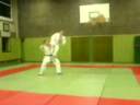 REAL Flying Amber