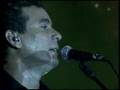 Calango Doido-Pimenta do Reino