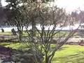 fairmont hot springs resort