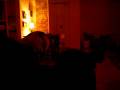 videos de Walter Seidl 