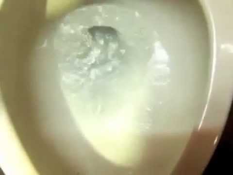 how to quietly unclog a toilet