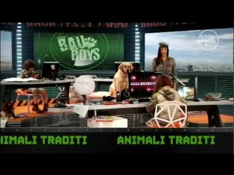 Vedi il video