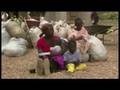 Kenyans seek monasterial sanctuary - 30 Jan 08