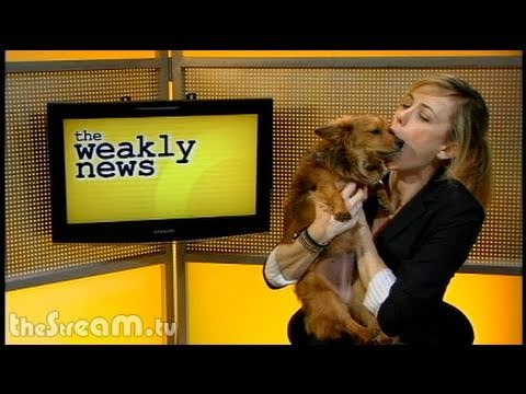 The Weakly News - The Weakly News #303 w/ Iliza Shlesinger