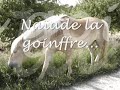 balade en liberté totale avec Naïade balade en liberté totale avec Naïade