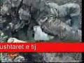 Adem Jashari