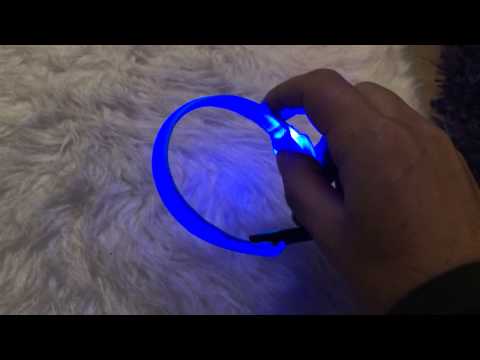 LED Sicherheitshalsband für Hunde Farbe Blau: