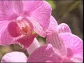 el salvador video reportaje