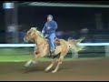 Scottsville Horse Show...oct. 20 2007