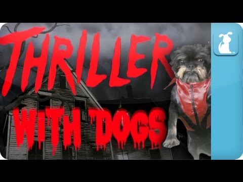 Thriller...With Dogs - Petody