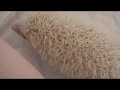 ハリネズミの日常