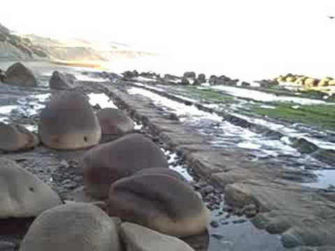 See video