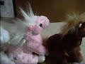 Charlie The Magical Webkinz Charlie The Magical Webkinz