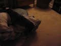 Crouching Mija Hidden Brewski Crouching Mija Hidden Brewski