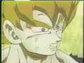 DBZ - Goku And Vegeta - Kryptonite