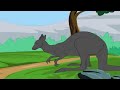 The Animal Kingdom - Kangaroo