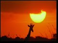 the miracle planet ii                   harunyahya com 