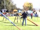 Agility Turnier K�ngen 27.09.08 Isabell mit Fly