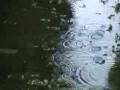 Paul Hardcastle - Return of the Rainman