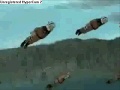 dbz balls vs narouto narcho