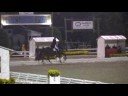 Armand Valkenborg rides Dutch gelding in musical freestyle.  Seigneur is a nine year old KWPN gelding.  View all of the grand prix freestyle rides at DressageStar.com
