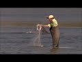 In Brazil, dolphins help humans with their fishing: http://t.co/alLl5OcC