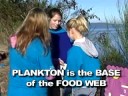 how to collect phytoplankton
