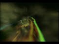 Comercial do Dr. Who na TV Cultura: http://t.co/Wh45OWuM. Começará pela temporada de 2005!