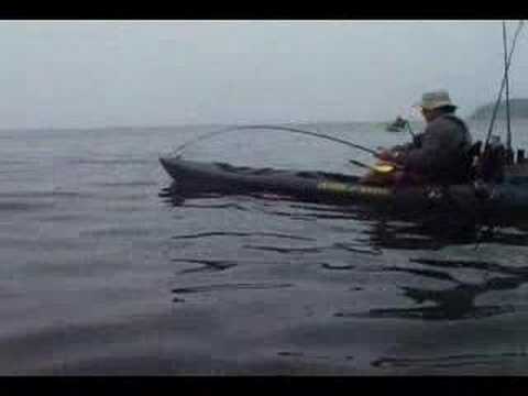 Paul(RadaStaff) Black Sea Bass