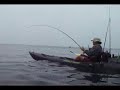 Paul(RadaStaff) Black Sea Bass Paul(RadaStaff) Black Sea Bass