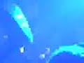 Miedo Maria Daniela y su sonido lasser wapo drakar Miedo Maria Daniela y su sonido lasser wapo drakar