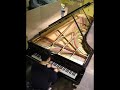 R-371: 12 foot 2 inch Rubenstein Piano - Messiaen R-371: 12 foot 2 inch Rubenstein Piano - Messiaen