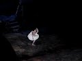 Veronika Part and Marcelo Gomes in Swan Lake as Odette